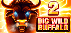 Big Wild Buffalo 2