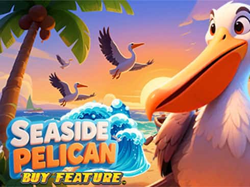 Seaside Pelican Buy Feature